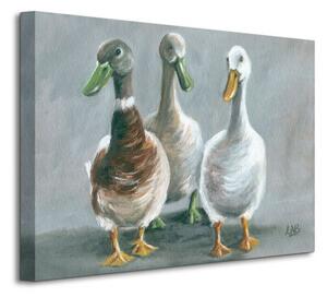 Art Group Obraz na plátne Traja kačací priatelia Brown Louise Veľkosť: 50 x 40 cm