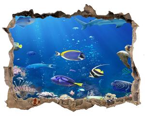 Díra 3D fototapeta nástěnná Koralový útes