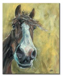 Art Group Obraz na plátne Zvedavý koník Brown Louise Veľkosť: 40 x 50 cm