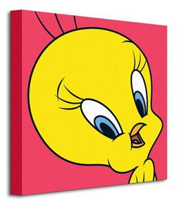 Art Group Obraz na plátne Looney Tunes (Tweety) Veľkosť: 40 x 40 cm