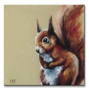 Art Group Obraz na plátne Zvedavá veverička Brown Louise Veľkosť: 40 x 40 cm