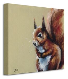 Art Group Obraz na plátne Zvedavá veverička Brown Louise Veľkosť: 40 x 40 cm