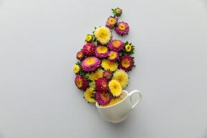 Fototapeta šálka plná kvetov