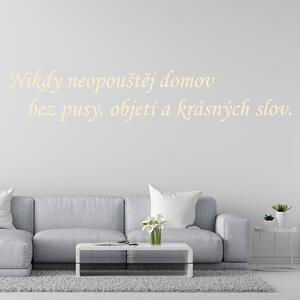 Veselá Stena Samolepka na stenu Nikdy neopúšťaj domov bez pusy, objatia a krásnych slov Farba: černá