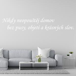 Veselá Stena Samolepka na stenu Nikdy neopúšťaj domov bez pusy, objatia a krásnych slov Farba: černá