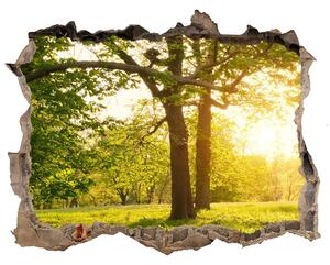 Nálepka fototapeta 3D výhled Stromy v parku nd-k-82116475