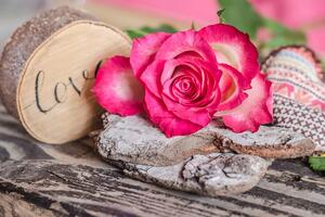 Fototapeta ruža z lásky