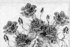 Tapeta čiernobiela vintage kytica ruží - 300x200