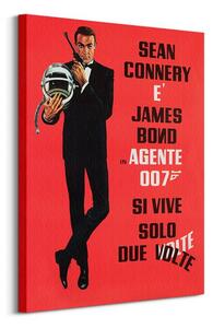Art Group Obraz na plátne James Bond (Si Vive Solo Due Volte) Veľkosť: 60 x 80 cm