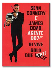 Art Group Obraz na plátne James Bond (Si Vive Solo Due Volte) Veľkosť: 60 x 80 cm