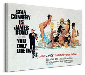 Art Group Obraz na plátne James Bond (You only live twice only way to live) Veľkosť: 80 x 60 cm