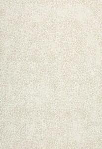 Luxusní koberce Osta Kusový koberec Piazzo 12268 100 - 160x230 cm