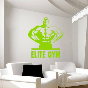 Veselá Stena Samolepka na stenu Elite Gym Farba: černá