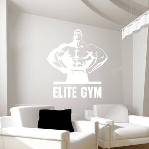 Veselá Stena Samolepka na stenu Elite Gym Farba: černá