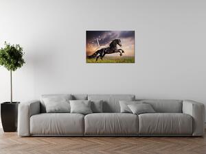 Obraz s hodinami Silný čierny kôň Rozmery: 100 x 40 cm
