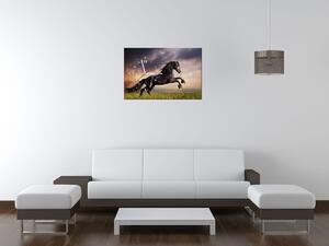 Obraz s hodinami Silný čierny kôň Rozmery: 30 x 30 cm