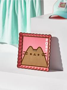 Sinsay - Tanier Pusheen - viacfarebná