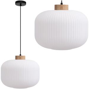 Toolight Toolight, stropné svietidlo zo skla 1xE27, biela, OSW-04412