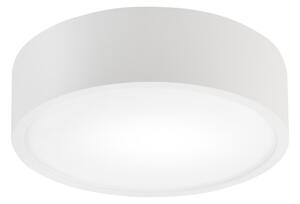 Stropné svietidlo NATURAL 1xE27/15W/230V priemer 27,5 cm borovica/biela