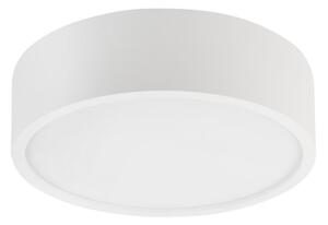 Stropné svietidlo NATURAL 1xE27/15W/230V priemer 27,5 cm borovica/biela