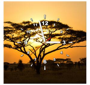 Obraz s hodinami Akácia v Serengeti Rozmery: 30 x 30 cm