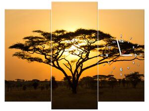 Obraz s hodinami Akácia v Serengeti - 3 dielny Rozmery: 90 x 70 cm