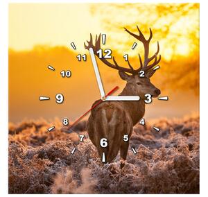 Obraz s hodinami Silný jeleň Rozmery: 40 x 40 cm