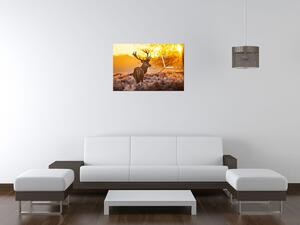 Obraz s hodinami Silný jeleň Rozmery: 40 x 40 cm