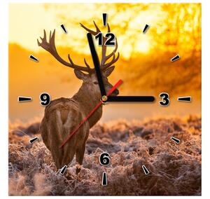 Obraz s hodinami Silný jeleň Rozmery: 30 x 30 cm