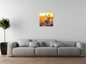 Obraz s hodinami Silný jeleň Rozmery: 100 x 40 cm