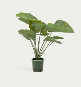 ALOCASIA umelý kvet