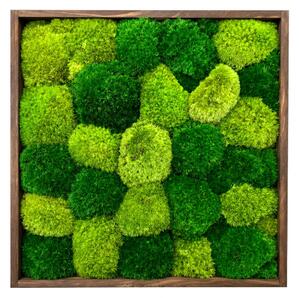 Machový obraz štvorec- kopčeky Veľkosť rámu: 20x20cm