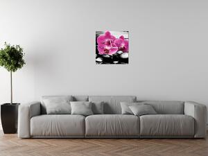 Obraz s hodinami Krásna orchidea medzi kameňmi Rozmery: 40 x 40 cm