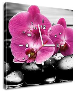 Obraz s hodinami Krásna orchidea medzi kameňmi Rozmery: 100 x 40 cm