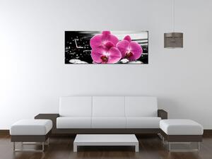 Obraz s hodinami Krásna orchidea medzi kameňmi Rozmery: 30 x 30 cm