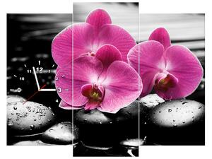 Obraz s hodinami Krásna orchidea medzi kameňmi - 3 dielny Rozmery: 80 x 40 cm