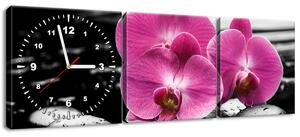Obraz s hodinami Krásna orchidea medzi kameňmi - 3 dielny Rozmery: 90 x 70 cm