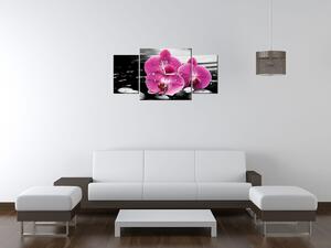 Obraz s hodinami Krásna orchidea medzi kameňmi - 3 dielny Rozmery: 80 x 40 cm
