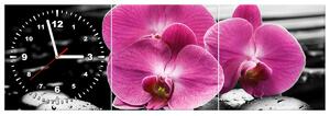 Obraz s hodinami Krásna orchidea medzi kameňmi - 3 dielny Rozmery: 90 x 30 cm