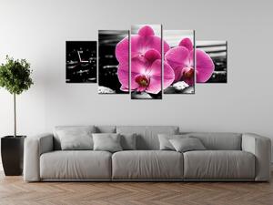 Obraz s hodinami Krásna orchidea medzi kameňmi - 5 dielny Rozmery: 150 x 105 cm