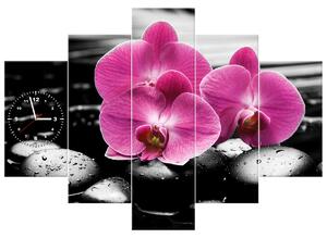 Obraz s hodinami Krásna orchidea medzi kameňmi - 5 dielny Rozmery: 150 x 105 cm