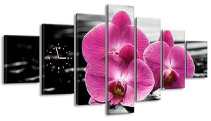 Obraz s hodinami Krásna orchidea medzi kameňmi - 7 dielny Rozmery: 210 x 100 cm