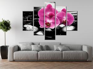 Obraz s hodinami Krásna orchidea medzi kameňmi - 5 dielny Rozmery: 150 x 70 cm