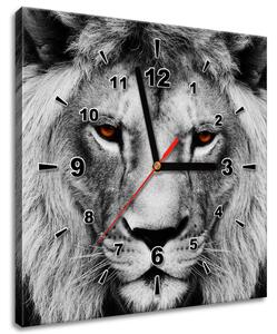 Obraz s hodinami Leví pohľad Rozmery: 100 x 40 cm