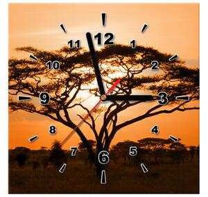 Obraz s hodinami Nádherná africká krajina Rozmery: 30 x 30 cm