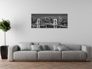 Obraz s hodinami Most Tokyo Bay Rozmery: 100 x 40 cm