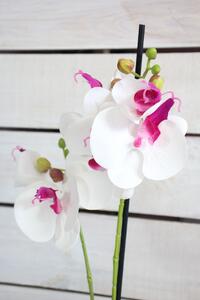 Umelá orchidea v črepníku - bielo-fialová (v. 51,5 cm) - moderný štýl