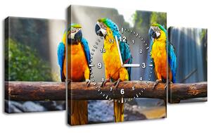 Obraz s hodinami Farebné papagáje - 3 dielny Rozmery: 80 x 40 cm