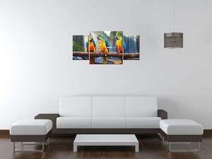 Obraz s hodinami Farebné papagáje - 3 dielny Rozmery: 80 x 40 cm