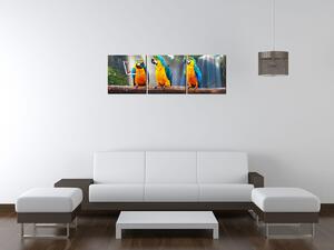 Obraz s hodinami Farebné papagáje - 3 dielny Rozmery: 90 x 70 cm